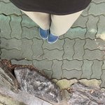 쓰레기옷과 냄새나는 쓰래기머리