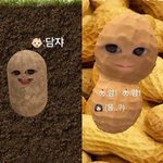 '에릭' 나혜미, 아들 이렇게 공개하다니…식<b>재료</b> 만들어버리는 '장꾸맘'