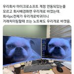 나 예전에 땄던 자격증 다시 따게 생김