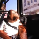 [드루와] 존잘남에도 종류가 있는데