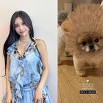 [드루와] 티아라 <b>큐리</b>, 비보 전했다…"사랑하는 울 아들, 다음...