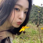 아이린 <b>인스타</b> 5개월만에 <b>업</b>뎃