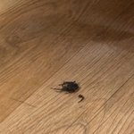 여자의 <b>직감</b>은 틀리지 않아