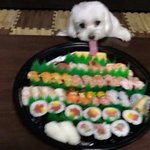 친구 지원금 ㅈㄴ 많이 받던데
