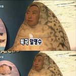 <b>혼자</b> 흠뻑쇼 어떰