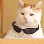 으