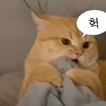 <b>평소</b>엔