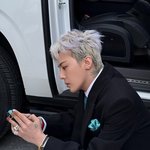 <b>지디</b> 짤털