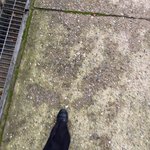 혼자서도 잘 놀아요