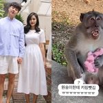 "킹받네"..'유상무' 김연지, 일본 여행중 <b>도난</b> 피해..원숭이가...