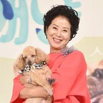 선우용여, 서울에 숨겨둔 아들 있었다?…"11년전 인연" (알토란)[종합]