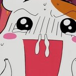 [하고싶은말] 짜증나