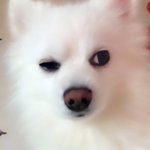 후