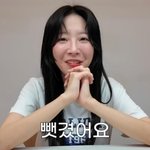 쯔양, 반려묘 유기 의혹 억울했다.."잠깐 맡겼다 뺏겨" 해명[핫피플]