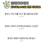 365일 핫한 <b>아재개그</b>