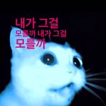 [드루와] 남돌 빠는 얘들아 만약에 너희 <b>최애</b>가