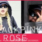 블랙핑크 로제 '귀여운 <b>미소</b>로 인사!'