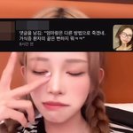  故 최진실 언급 선 넘은 악플러 <b>박제</b> “넌 계속 돼지로 살아”