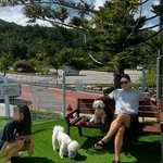 진태현박시은, 마라톤 선수 양딸 공개 “가족된 지 벌써 1년, 양아버지...