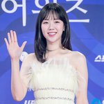  건강 악화로 활동 <b>스탑</b>…"9월부터 회복 전념" [공식입장]