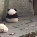 <b>조아</b>해