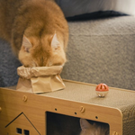 [레이] <b>베리</b>레드톡)