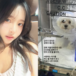 '암투병' 이솔이, 안타까운 소식 전했다 "갑작스러운 폐수종....