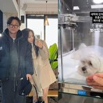 박성광이<b>솔이</b>, 안타까운 소식…반려견 폐수종 투병 "빨리 퇴원하자"