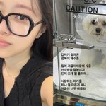 '여성암 극복' 이솔이, 이번엔 반려<b>견이</b> 폐수종…"마음 너무 아파"...