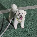 <b>피곤</b>하지만