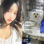 ‘여성<b>암</b> 투병’ 이솔이, 안타까운 소식 전했다 “갑자기 찾아온 폐수종”