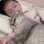[드루와] 고양이보다 사람<b>애기</b>가 더 귀여움