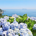 경남 <b>통영</b> 수국여행맛집~!