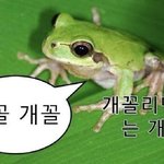 조카 아<b>방수</b>마냥 살고싶다