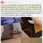 방탄 지민 여자랑 동거하는거 진짜였구나