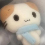 2학기 개총 어떻게할지 도와줘ㅠㅠ