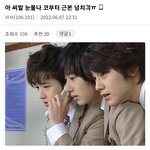 요즘에 가짜코 <b>남돌</b> 왜케 많음