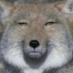 [댓글부탁해] <b>주변</b> 친구들 남친 다 이렇게생김