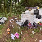 ‘현혹’, 제주 촬영장 쓰레기 논란에 사과 “촬영 종료 후 <b>미흡</b>”