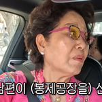 선우용여, 60억 <b>반포</b> 아파트 4채 팔았다 “봉제 사업 위해” (순풍)