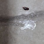 이게 <b>모야</b>