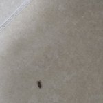 얘도 바선생이야?