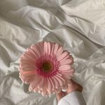 <b>진</b>~~짜 예전에 알던 넷상친구한테 연락하는 거 에바?