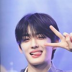 보플 남은 픽 추천해드림