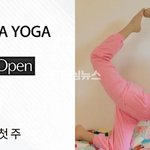 이효리, 연희동에 요가원 연다…<b>상호</b>는 ‘아난다 요가’ (+ANANDA...