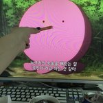 이거 무슨 애<b>닌지</b> 아는 사람