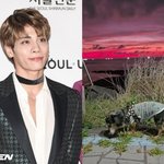 ‘종현 반려견’ 루, 무지개다리 건넜다..“언제나 사랑해” 먹먹