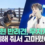 故 종현 반려견, 무지개다리…"함께해 줘서 고마웠어" [투데이픽]