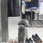 운전면허 <b>필기</b> 개어려운데 내가 머갈텅텅인거냐