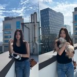 '47세 미혼' 김사랑, 펫로스 슬픔 달랬다…반려견 <b>줄기</b>세포 시술까지